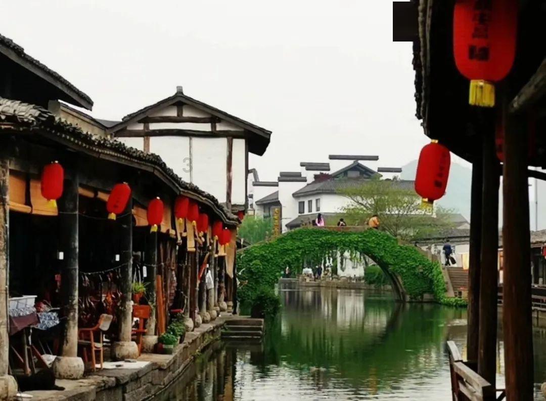 冷知识分享平台可爱吗!,揭开世界的神秘面纱!